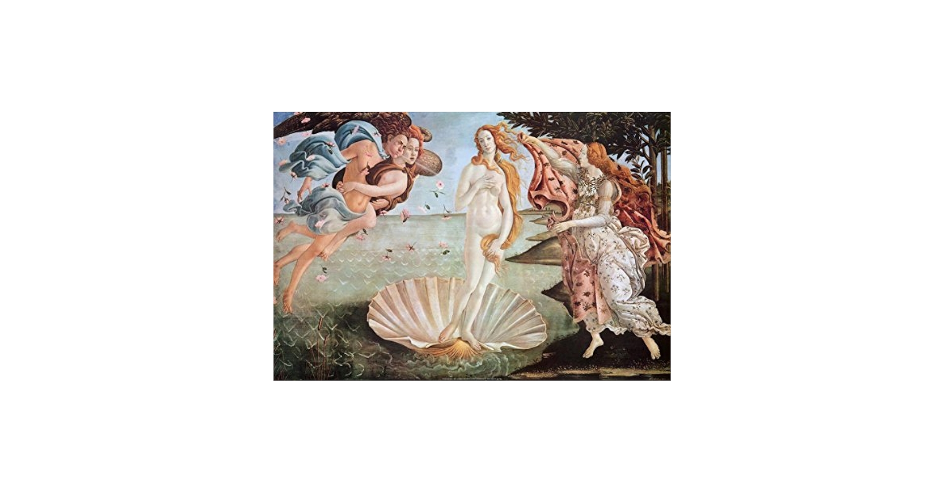 Amazon.com: The Birth of Venus, c.1485 Art Poster Print by